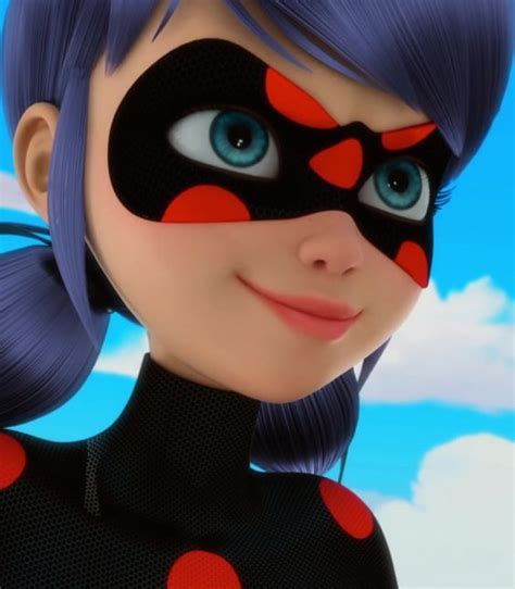 Akumatized Ladybug Miraculous Ladybug Villains Miraculous Ladybug Anime Miraculous Ladybug