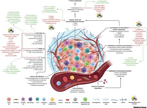 Nanomedicine Based Strategies To Target And Modulate The Tumor