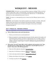 Learn about mitosis vs meiosis with free interactive flashcards. Mitosis Webquest Answer Key | Newatvs.Info