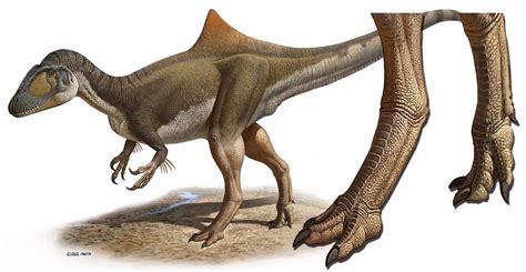 Dinosaurios Carnívoros Tenían Patas Con Escamas Como Las Gallinas