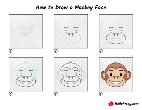 Monkeys Drawings Step By Step