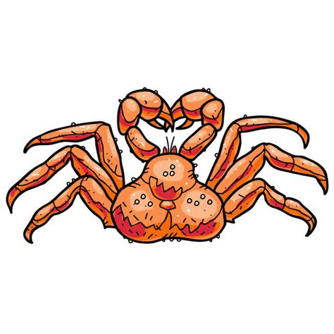 30 King Crabs Cartoon Illustrations Royalty Free Vector Graphics
