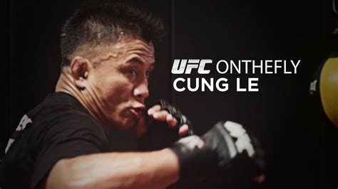 Ufc On The Fly Cung Le Ufc Cung Le Video