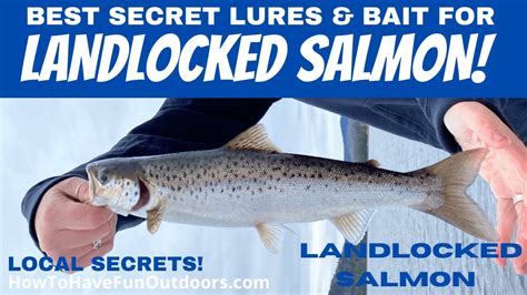 Best Landlocked Salmon Trout Lures Youtube