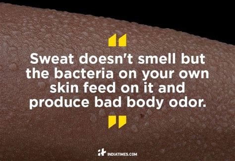 7 Bizarre Facts About The Human Body That Are So Gross It Will Make