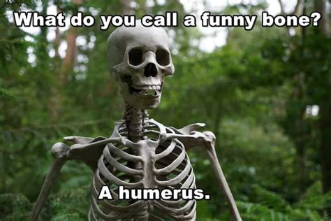 100 Skeleton Puns Jokes And Memes That Will Tickle Your Funny Bone