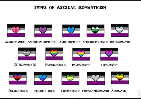 Asexuality 101 A Recap Her Campus