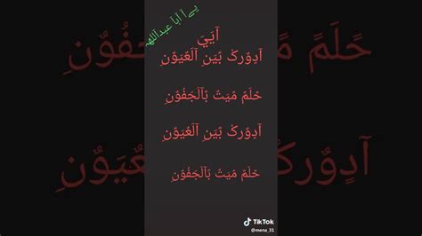 ولهذا قال بعض أهل العلم: سلام على زينب الحوراء - YouTube
