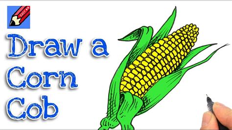 Corn Cob Drawing At Getdrawings Free Download