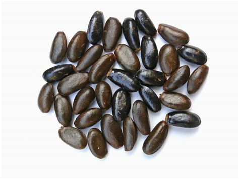 Kandungan yang paling ketara ialah niacin yang dikatakan dapat mengatasi masalah sindrom saraf. 1001 Khasiat Buah Nona Yang Makin Dilupakan Generasi Kini ...