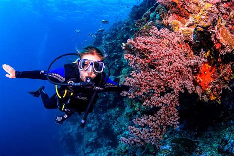 The upper red section bears a yellow raggiana bird of paradise and the lower black section bears five white stars in the southern cross constellation. Papua New Guinea • Scuba Diver Life