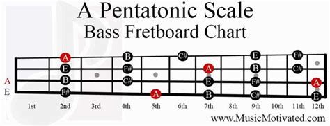 A Pentatonic Scale Bass Fretboard Notes Chart Guitar Fretboard My Xxx