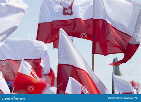 Multiple Polish Flags Flying Against The Sky Stock Image Image Of