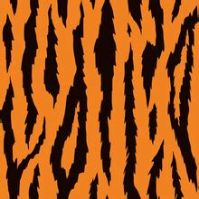 Professional Tiger Pattern Stock Photos Public Domain Pictures Page