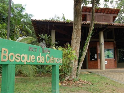 G1 Bosque Da Ciência Em Manaus Abre Na Véspera De Natal E Ano Novo Notícias Em Amazonas