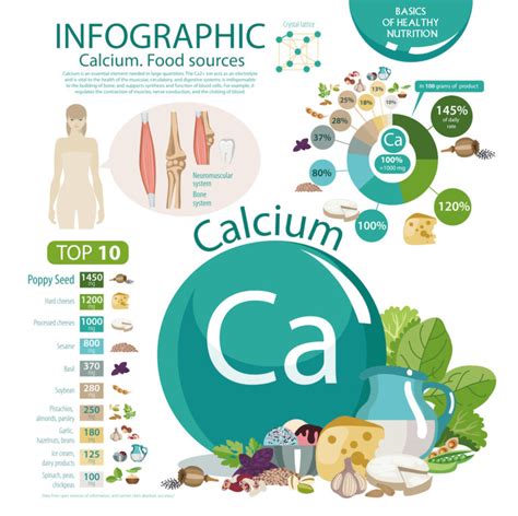 the function of calcium what you need to know about the other 1 effihealth
