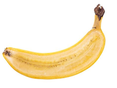 Germinating Banana Seeds Can You Grow Bananas From Seed