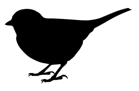 Silhouette Of A Blackbird Clipart Best