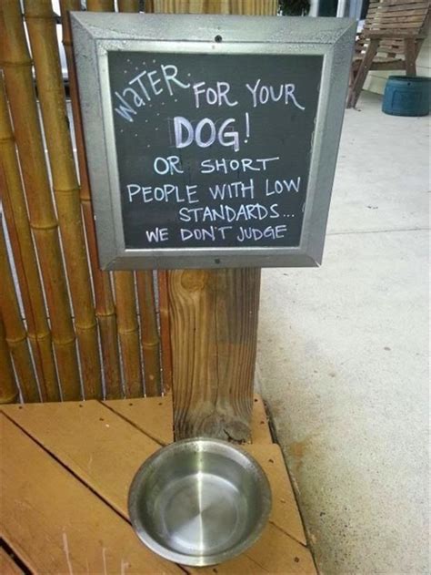 Funny Dog Water Bowl Sign Funny Joke Meme Pictures Clean Funny