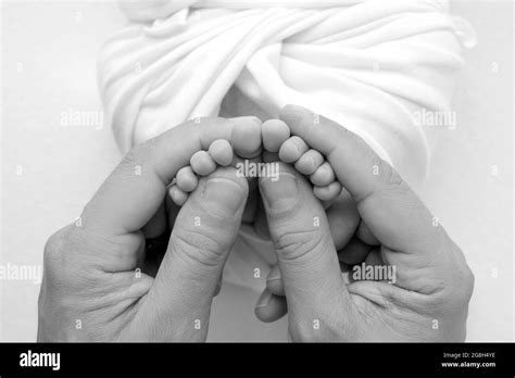 Hands Of Parents The Legs Of The Newborn In The Hands Of Mom And Dad