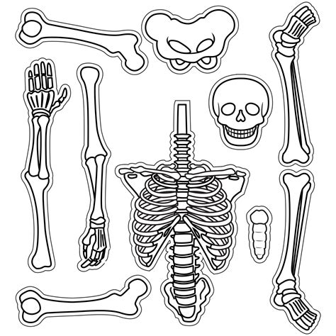 6 Best Images Of Large Printable Skeleton Template