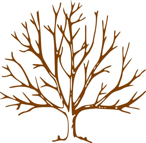 Дърво Безлистен Оголен Безплатни векторни графики в Pixabay