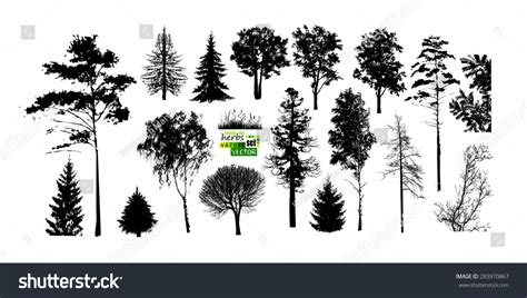 Set Trees Silhouette Vector Stock Vector Royalty Free 283970867
