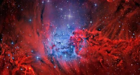 Free Download Bing Images Fox Fur Nebula Der Fuchspelz Nebel Im