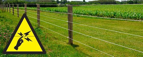 A component called a power energizer converts power into a brief high voltage pulse. Best 3 Electric Fence Chargers Reviews & Comparison ...