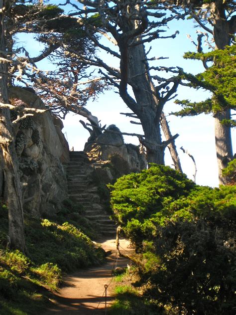 The purpose of a reserve is to forever protect an area of unique natural beauty and ecological significance. Point Lobos State Park, Carmel, CA | Pebble beach ...