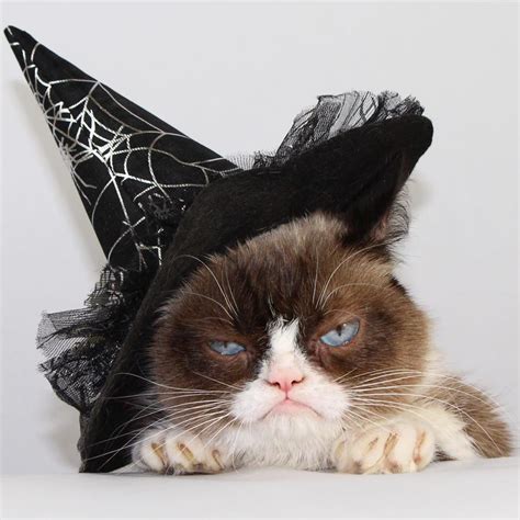 Grumpy Halloween Yet Another Website