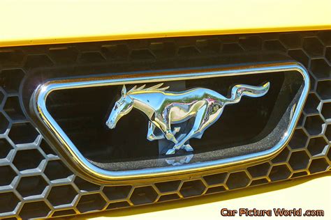1999 Mustang Gt Convertible Grill Emblem Picture