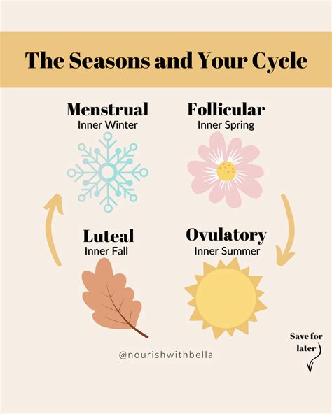 Menstrual Cycle Phases Period Cycle Healthy Period Hormone Health