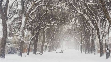 Winnipeg On Its Way To Snowiest December In A Century Manitoba Cbc News