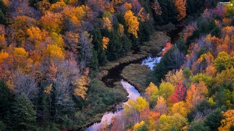 River Autumn Trees Viewes Color Forest For Phone Wallpapers