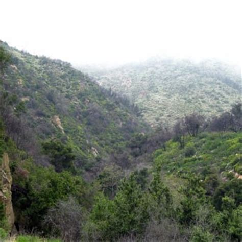 7 falls hike santa barbara. 7 Falls Hike - 42 Photos & 21 Reviews - Hiking - Santa ...