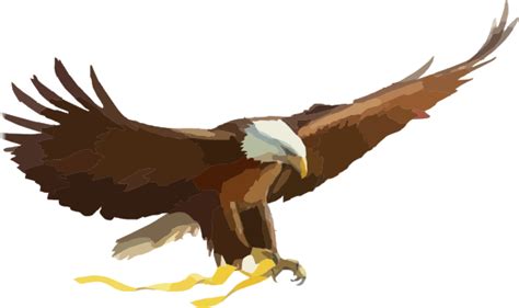 Soaring Eagle Large Clip Art At Vector Clip Art Online