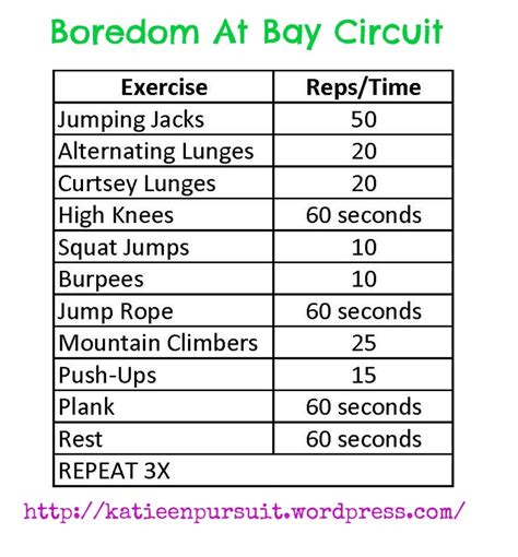 Minute Cardio Circuit All Over Body Workout Whole Body Workouts Circuit Workout