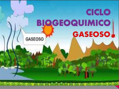 Ciclo Biogeoquimico De Rubi