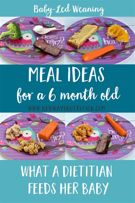 Complete sample feeding schedule for 6 month olds with helpful tips to use and adjust for your baby through their 7th month. 6 Month Old Baby Food Ideas- Lunch! | Baby led weaning ...