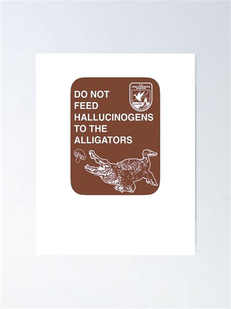 Do Not Feed The Hallucinogens To The Alligators Florida Everglades