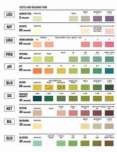 Urinalysis Test Color Chart Medical Lab Technician Medical