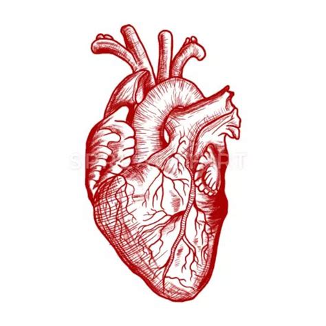 Cœur Vintage Anatomie Cœur Cadeau Medic Mug Spreadshirt Coeur