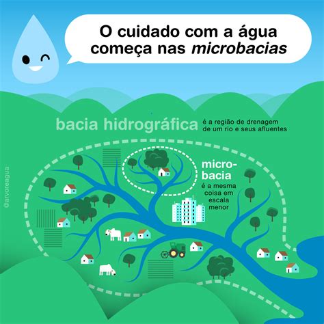 Microbacia Arvoreagua