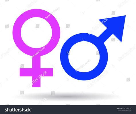 sex gender symbols stock vector royalty free 1377596714