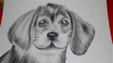 How To Draw Realistic Dog Hairsfur Part 2 Animal Fur Tutorial For