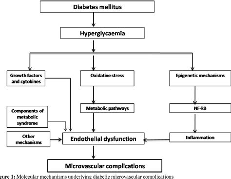 Figure From Molecular Mechanisms Underlying Microvascular Complications In Diabetes Mellitus