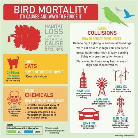 State Of The Birds Bird Mortality Infographic Newsdesk Infographic