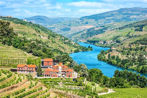 discover 3 of the best vineyards in douro valley wine international association wia