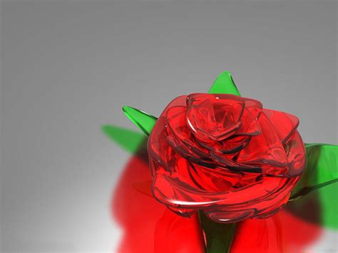 Wallpapers Glass Rose Wallpapers